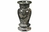Limestone Vase With Orthoceras Fossils #122447-1